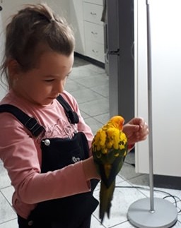 Ateliers parents-enfants 6-12 ans